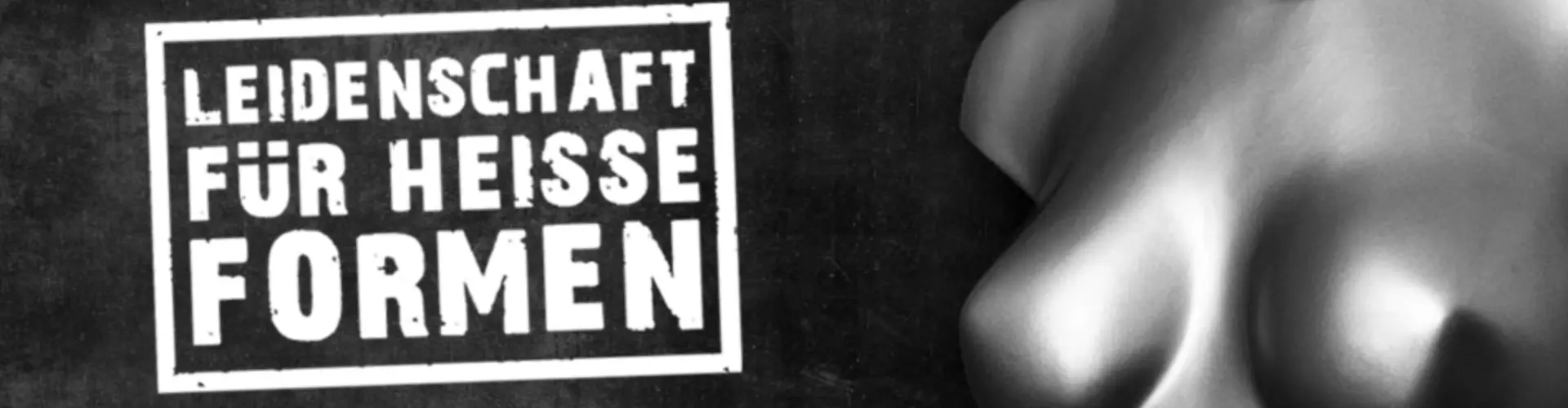 DIAG Diesner Aluminium GmbH & Co. KG cover